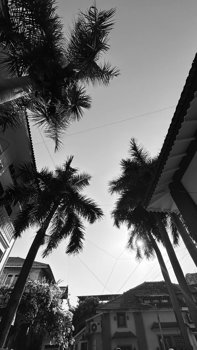 mayursakhare's tweet photo. Bandra through my lenses 🤍 https://t.co/PIwX1TsDug