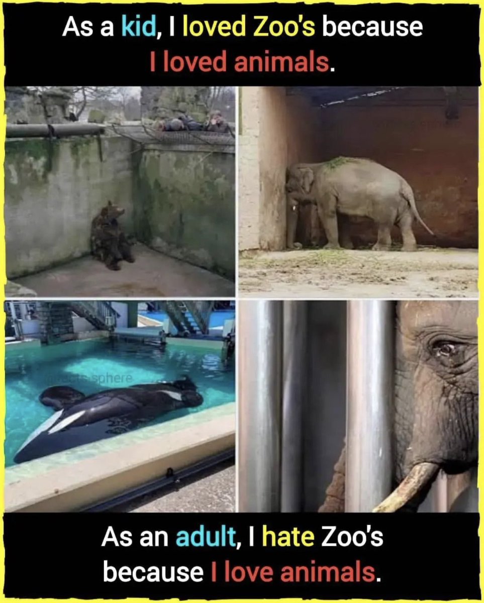 tinitita's tweet photo. Facts…
#animalcruelty #animalcrueltyawareness #animallovers #voiceforthevoiceless #awareness #letanimalslivefree #humansarethevirus #letthemlive #inaworldwhereyoucanbeanythingbekind #crueltyfreeworld https://t.co/xVLKCEOZww