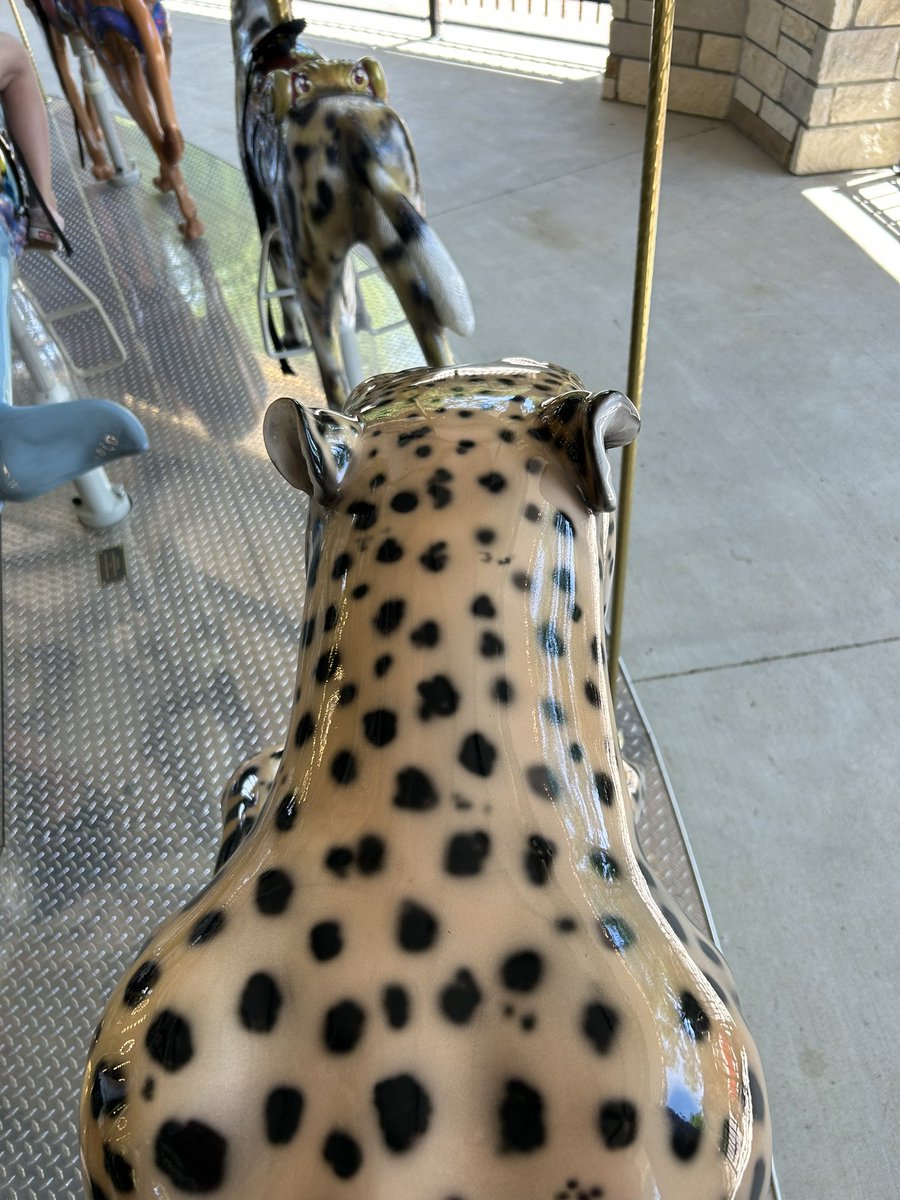 cincygreghoodin's tweet photo. Going for a spin on the here cheetah @CincinnatiZoo #dothezoo on a #zootifulday Bea-U-Tiful day #sundayincincy #sundayvibes #springincincy #summerincincy #sundayvibes https://t.co/4GImygESrp
