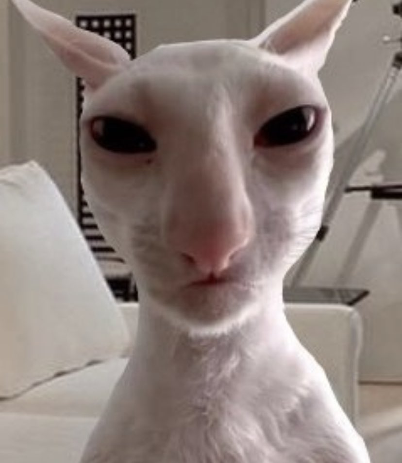 He was forced to go to the camp medic (he has a tick on his leg)