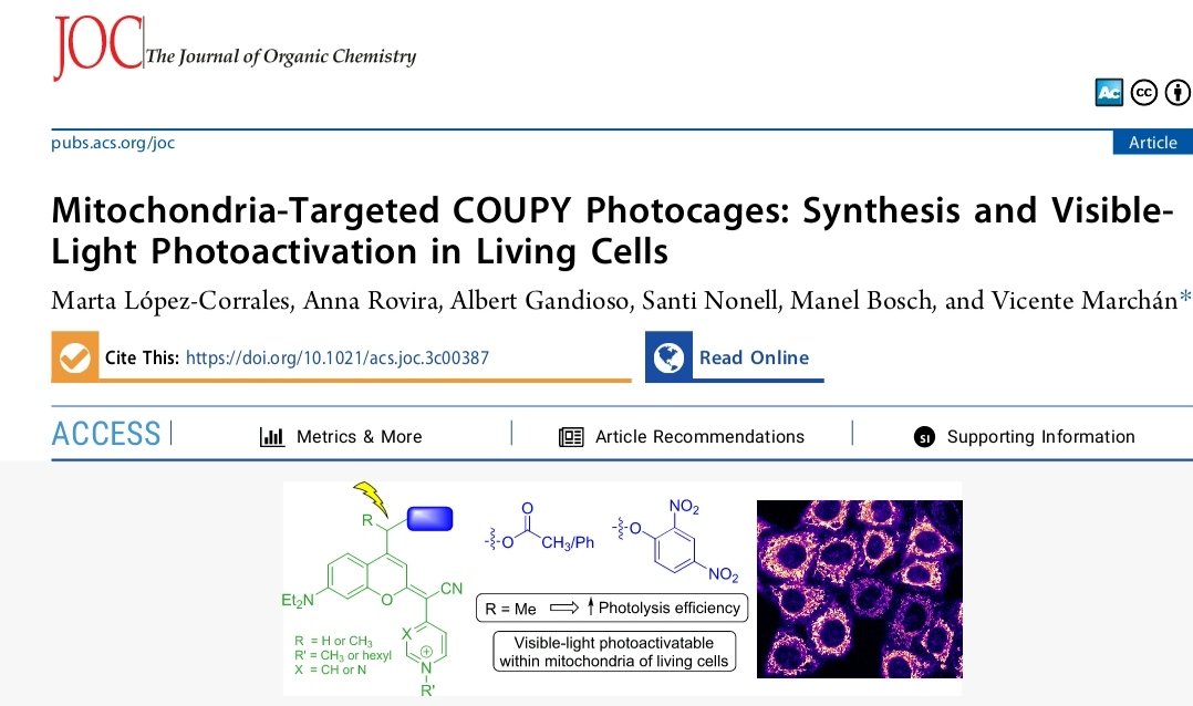 Excited to announce my contribution to the latest publication in The Journal of Organic Chemistry! Huge congratulations to Marta <a href="/Mmarta9621/">Marta</a> for her outstanding work on COUPY photocages! 
pubs.acs.org/doi/10.1021/ac…