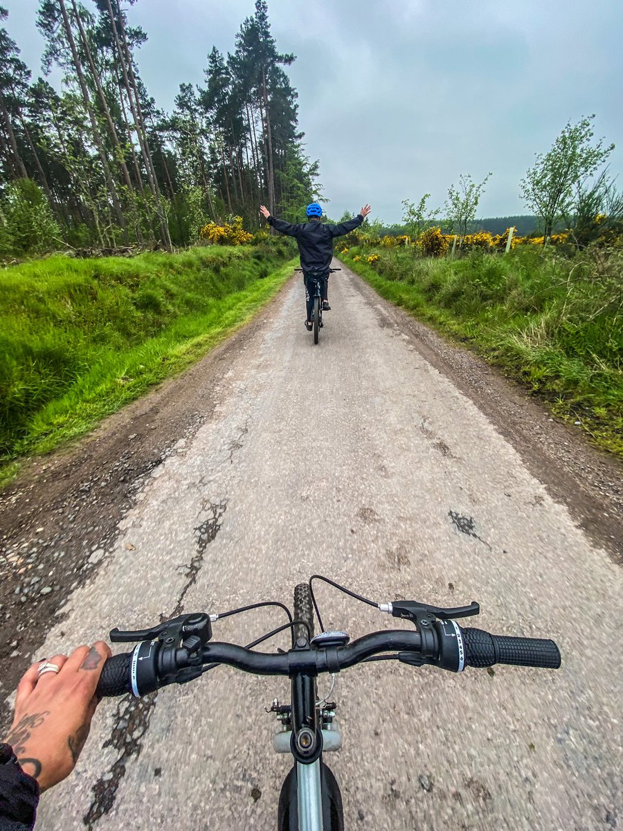 Althea Rossiter tweet media