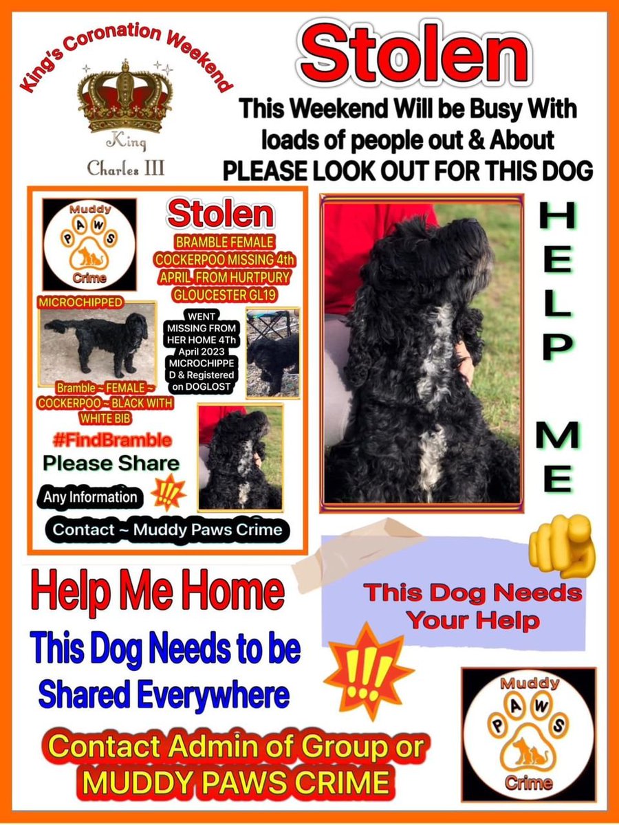 gelert01's tweet photo. #BRAMBLE missing 04/04/2023 #HARTPURY #GLOUCESTER #GL19 #chipped https://t.co/ouEfMdvuxj
https://t.co/CjFSSErYY3 @muddypawscrime @lisffc @KarenFi51820768 @karensarah66 @Lorrain90964806 @MissingPetsGB @HeadsLost @LostDogAlertUK @RecoveryDog @missing_n_found @missingdogs155 https://t.co/e50ImEzeXM
