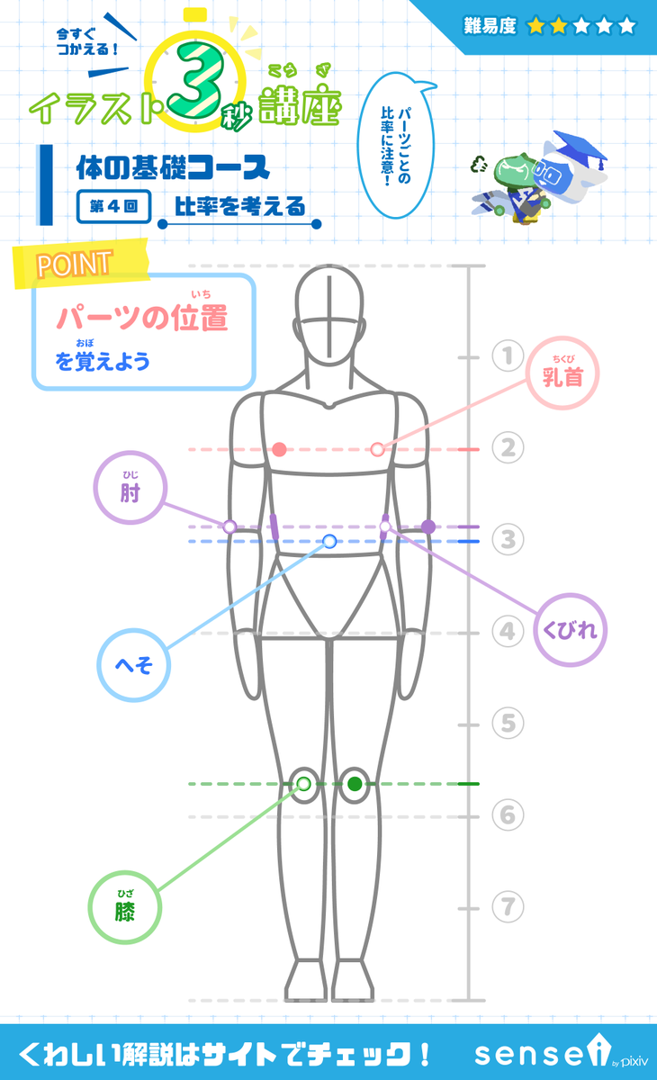 pixivsensei's tweet photo. 体の比率やパーツの位置を覚えましょう。 #イラスト3秒講座 詳しくはこちら→ https://t.co/GYHs5ZLhxV https://t.co/5x8ZPUxpsV