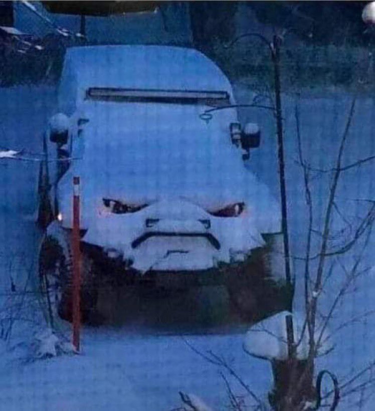 Ég í dag eftir snjókomu í maí.