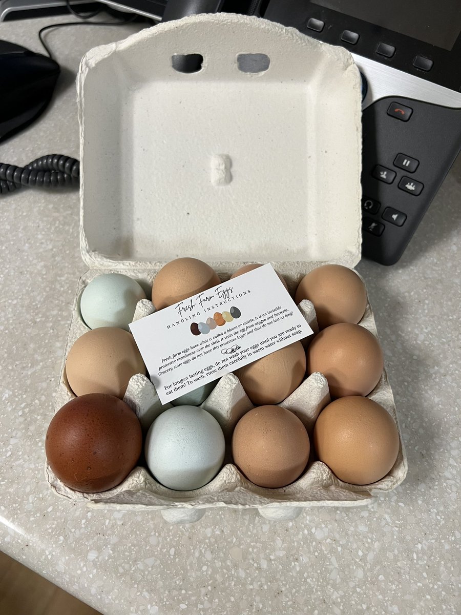 Andrea, MD/PhD tweet media