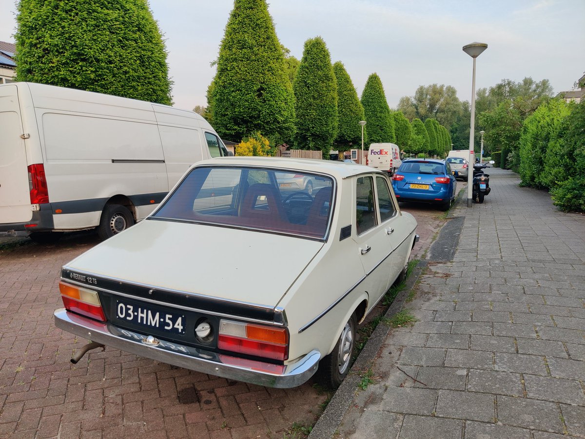 oy kullanmaktan döndüm evin civarında akşam yürüyüşe çıktım, osdorp sokaklarında ne buldum