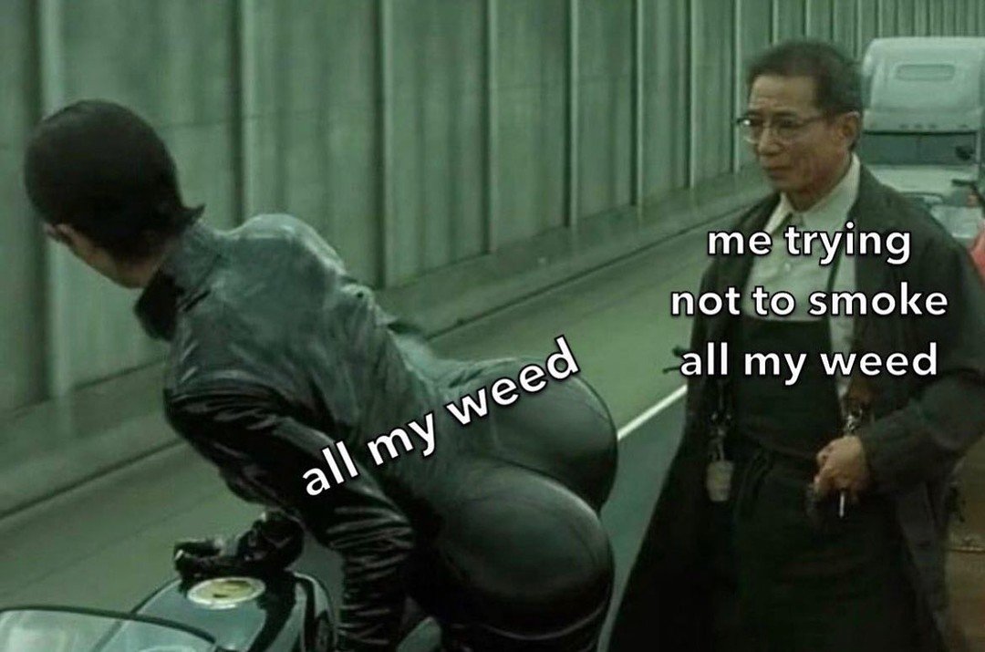 things that i smoke weed to (@stoneythings) on Twitter photo 