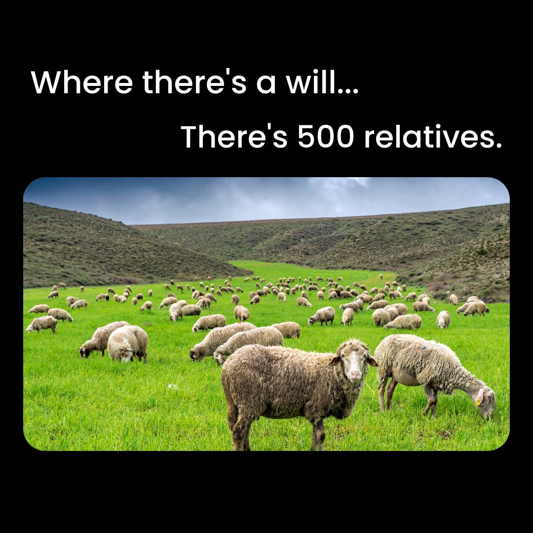 You know what they say…

Where there’s a will, there are 500 relatives!🤣

#funnybuttrue #wills #estateplanninglawyer
