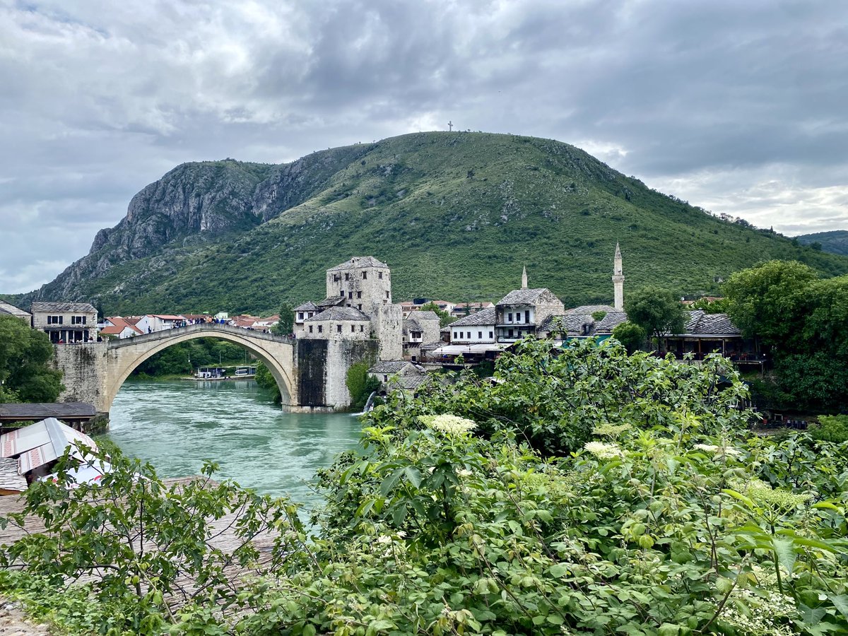 Victoria McKenzie tweet media