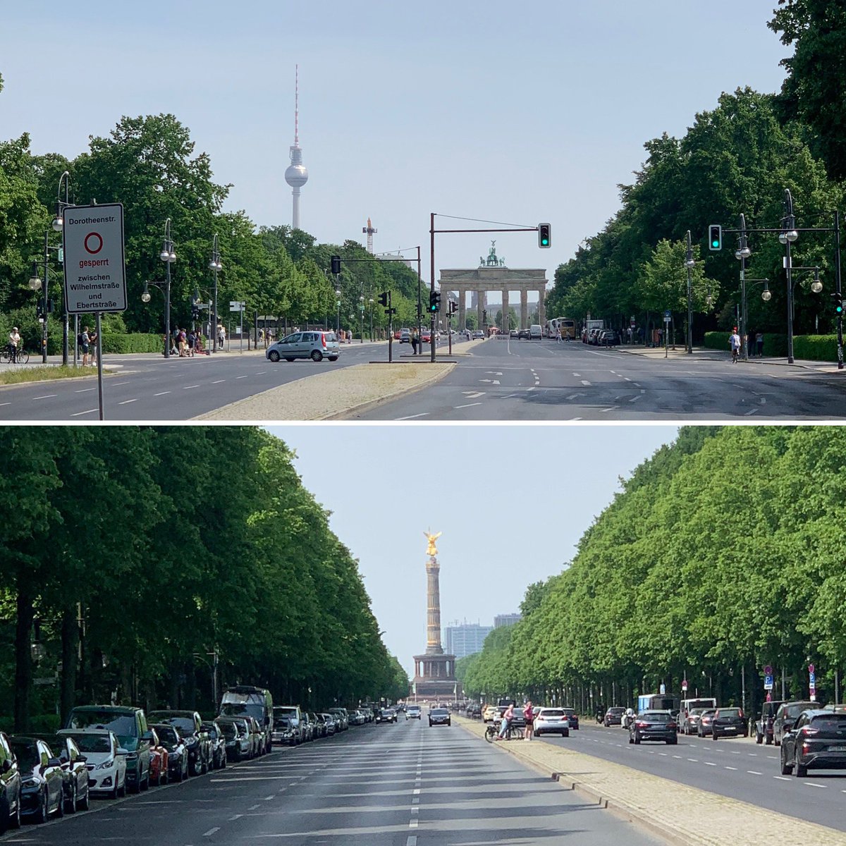 MeikelBLN76's tweet photo. SonntagsRunde… #berlinsmoke #outsidesmoke #unterwegssmoke #bestbuddies #sam🐶 #newkingontheblock🐶 #berlinmitteboy🐶 #tiergarten (hier: Tiergarten, Berlin) https://t.co/sA6CXm3X01