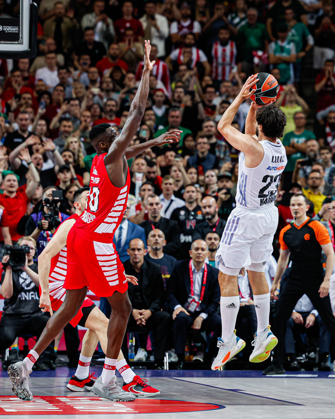 Real Madrid Basket (@RMBaloncesto) / Twitter