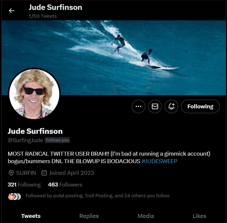 This is <a href="/SurfingJude/">Jude Surfinson</a> or Jude Surfinson, a honorary posting accepted by the posting community. Unique in their own right for simply existing as a surfer du- I mean surfing JUDE. Loves to eat sand.

Solid A account. #JUDESWEEP