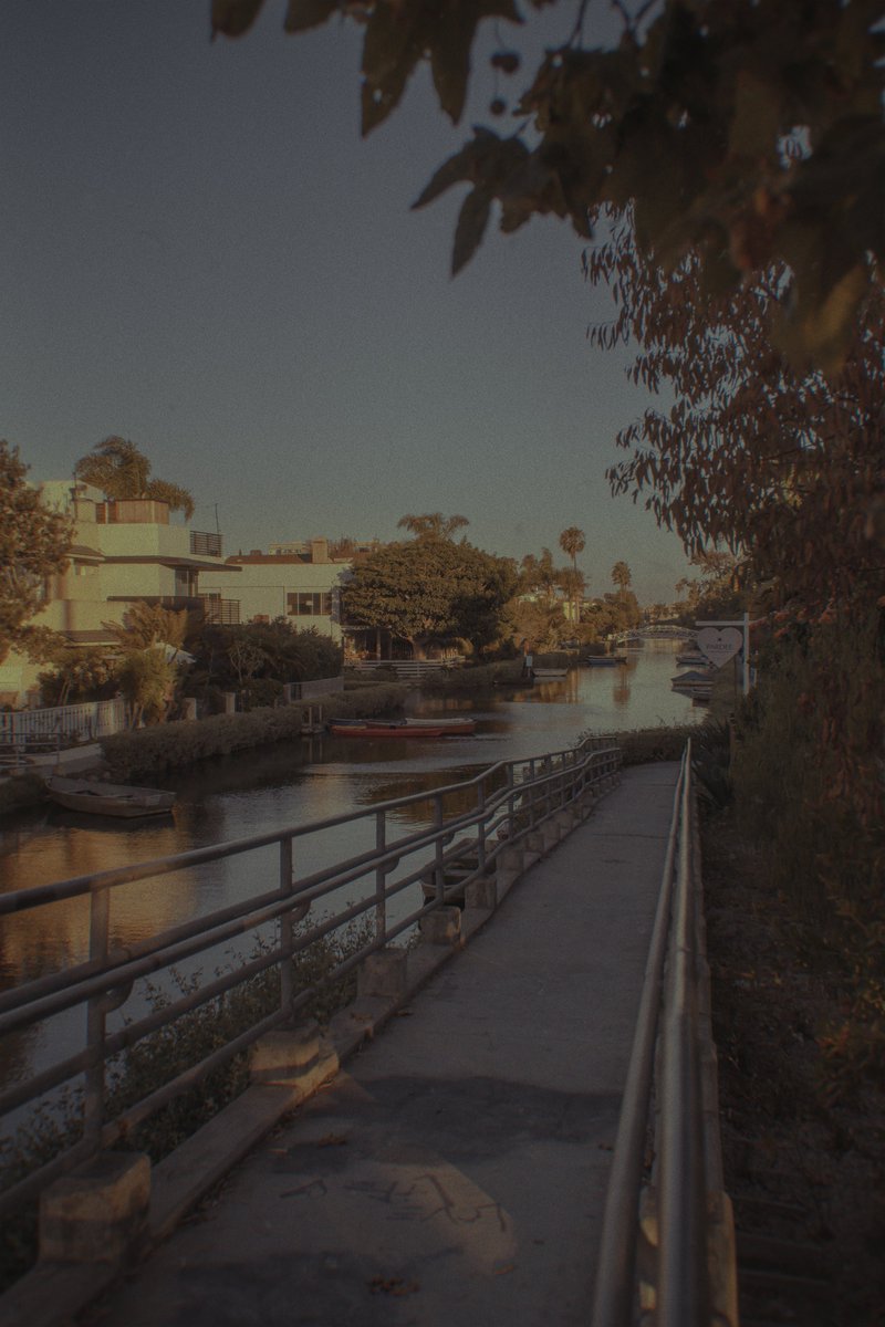 venice canals.

#venice #venicecanals #venicecanalslosangeles #venicecanalscalifornia #venicecanalhistoricdistrict #canals #losangeles #usa #unitedstates #california #californiadreaming #americandream #cinemalife #shot #filming #travelphotography #streetphotography #photography