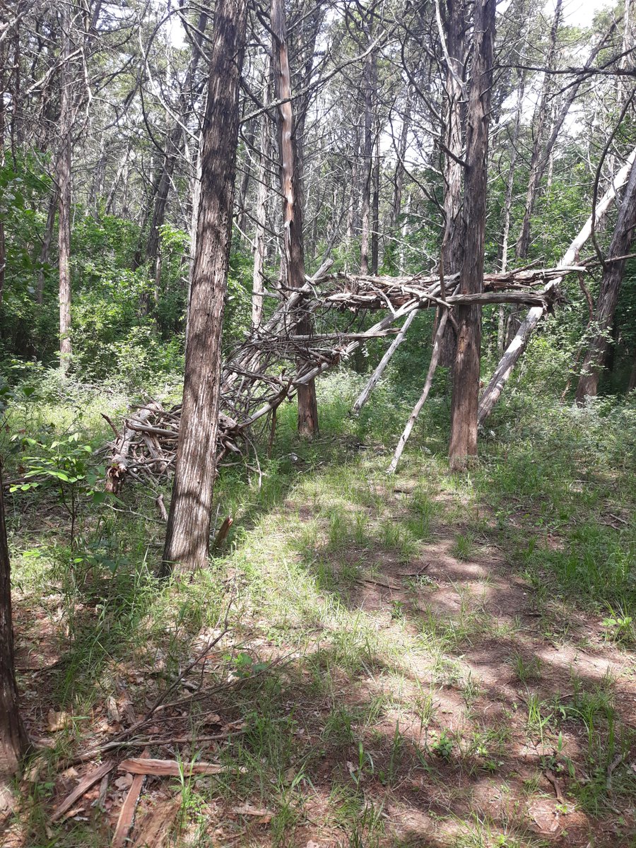 OklahomaReiki's tweet photo. Reiki at the Parallel Forest near Medicine Park. Amazing time!

#reiki #backtonature #parallelforest https://t.co/rnUNOCHPS3