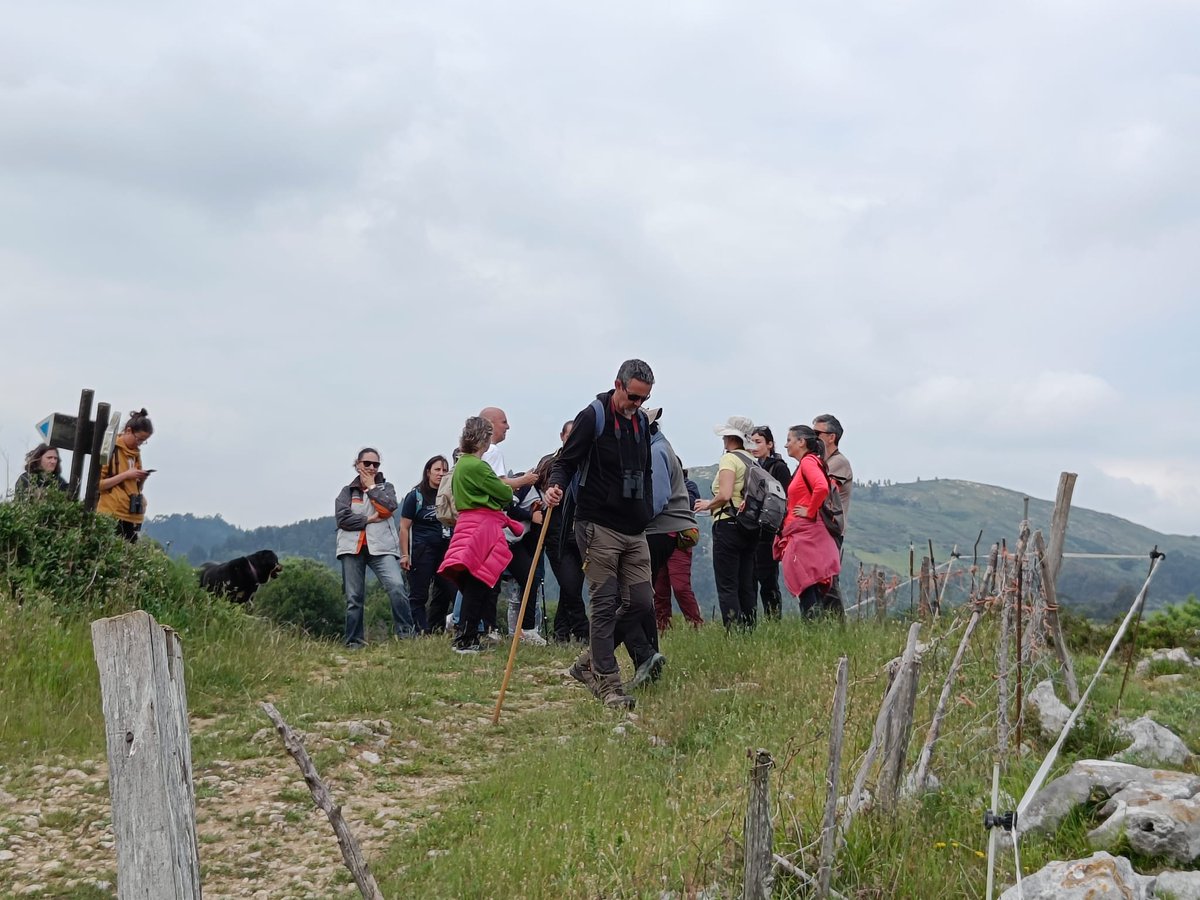SEO-Castro Grupo Local (@seo_castro) on Twitter photo 🦋👐🏻Hemos celebrado el #Natura2000Day 🦋👐🏻 a lo grande en la maravillosa #MOC Montaña Oriental Costera de Cantabria IBA 422 <a href="/SEO_BirdLife/">SEO/BirdLife</a>, con una ruta por Liendo en conjunto con <a href="/ecologistas/">Ecologistas en Acción</a> Cantabria. 
Ha sido una jornada fantástica. 
¡Pronto toda #MOC espacio #RedNatura2000! 🦋👐🏻Hemos celebrado el #Natura2000Day 🦋👐🏻 a lo grande en la maravillosa #MOC Montaña Oriental Costera de Cantabria IBA 422 <a href="/SEO_BirdLife/">SEO/BirdLife</a>, con una ruta por Liendo en conjunto con <a href="/ecologistas/">Ecologistas en Acción</a> Cantabria. 
Ha sido una jornada fantástica. 
¡Pronto toda #MOC espacio #RedNatura2000!