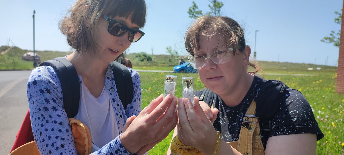 I was lucky enough to spend World Bee Day with my great friends <a href="/BuglifeCymru/">BuglifeCymru</a> at the fabulous Crymlyn Burrows SSSI. It was my last day working with them and <a href="/BumblebeeTrust/">Bumblebee Conservation Trust</a> on the Neath Port Talbot Beelines project.... Been a blast guys!