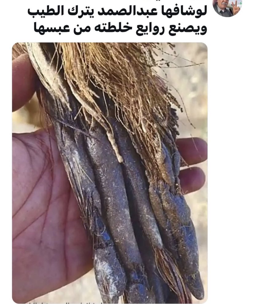 فواز 2030 tweet media