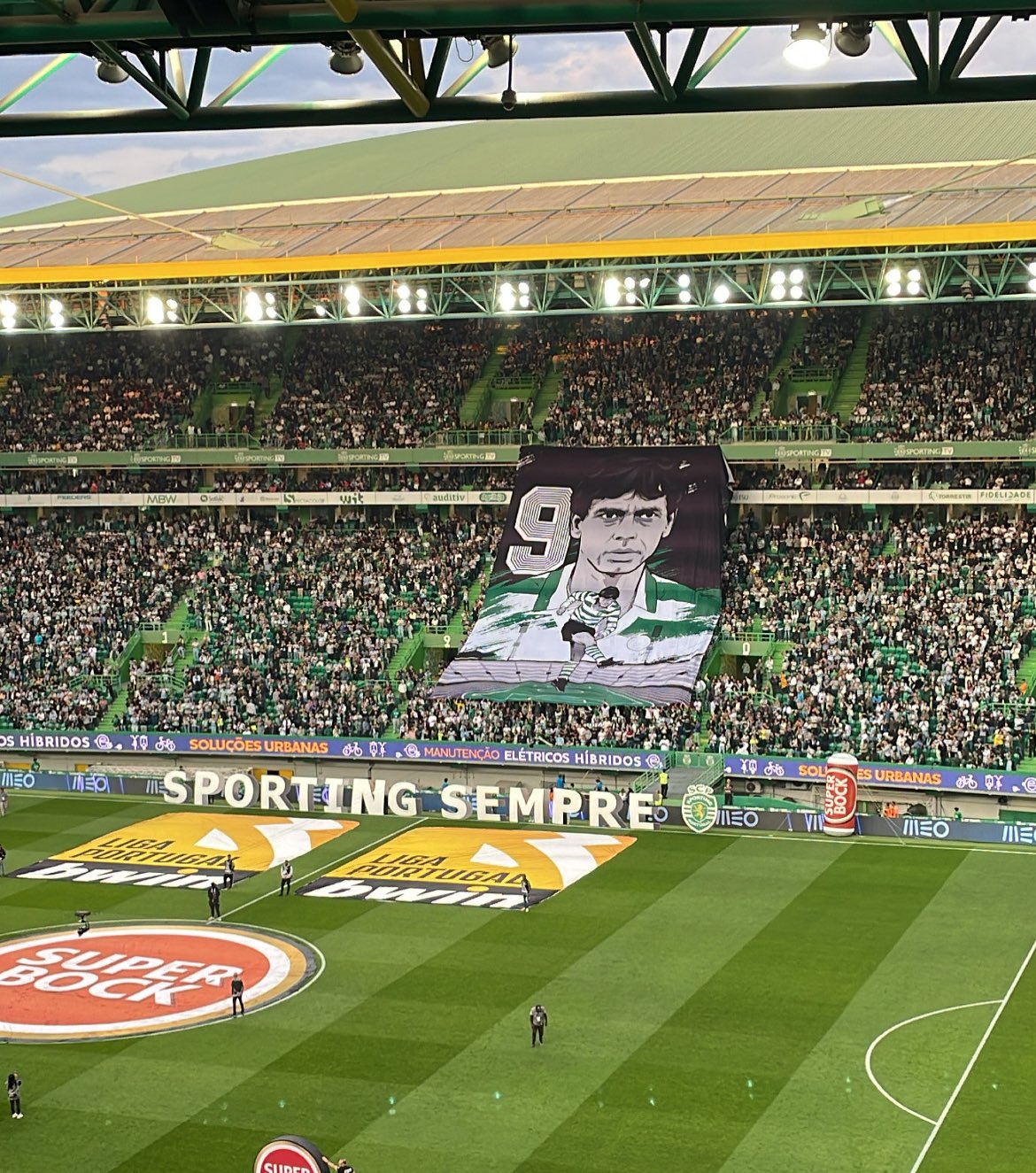 Sporting CP Adeptos (@Sporting_CPAdep) / X