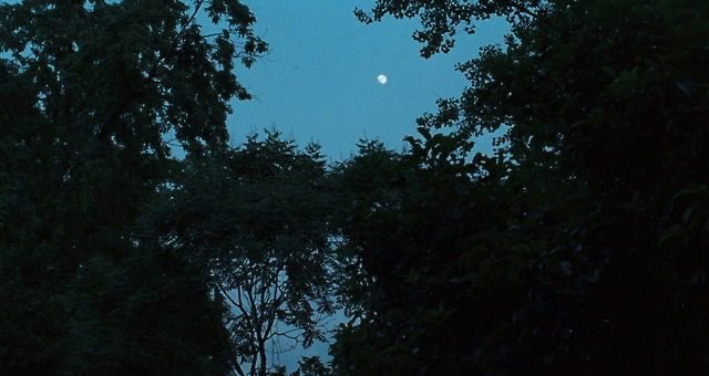 visionsinfilm's tweet photo. call me by your name (2017) https://t.co/WMcYCyzB7z