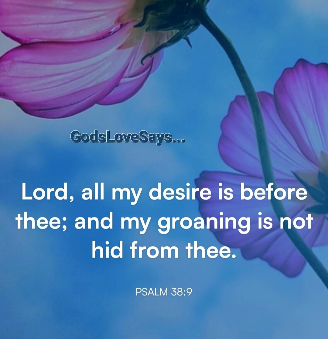 HornettPam's tweet photo. All my longings lie open before you, Lord; my sighing is not hidden from you.
Psalms 38:9
#GodsLoveSays #Psalms #longings #open #Lord #sighing #nothidden #desire #groaning https://t.co/aezdVMPNfX
