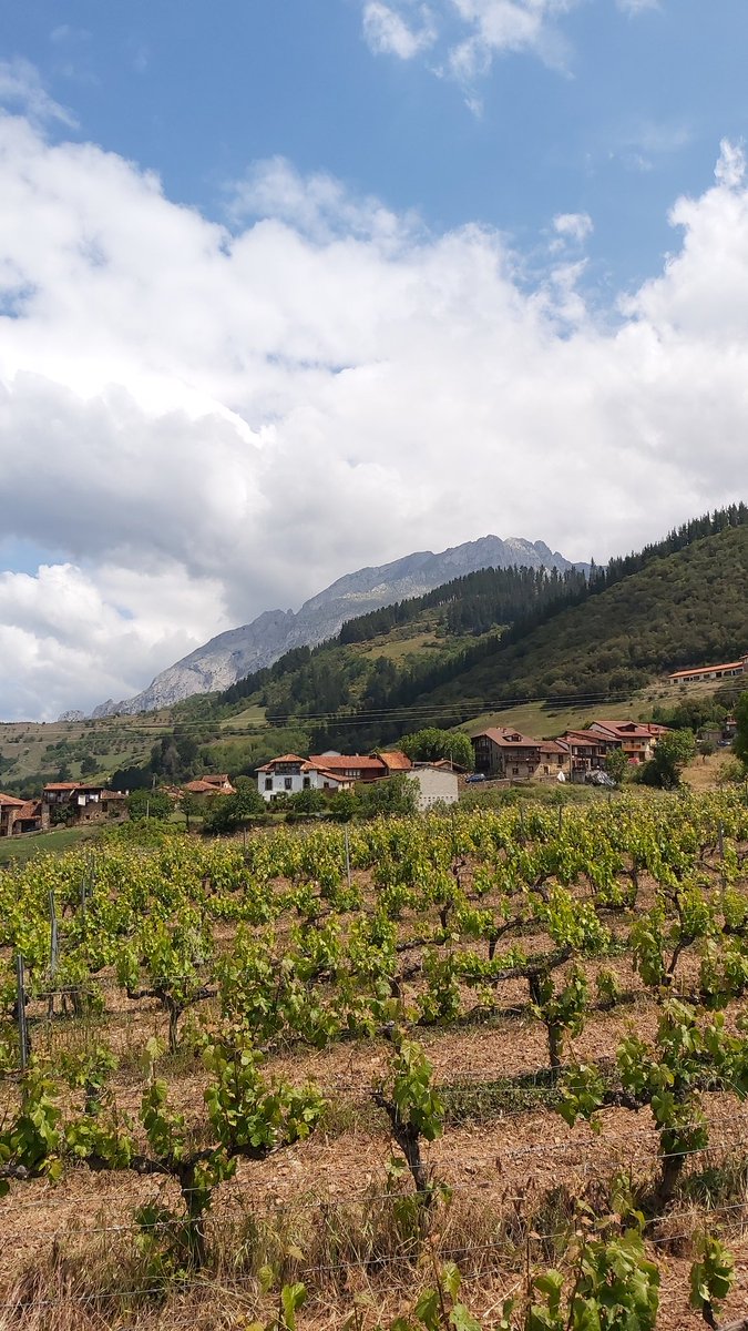 #Momentos
De un #TimeLap sobre la #Peña  de #LaVentosa desde Aliezo, la #Mágica #Liébana Mundo...🧚‍♂️😎
#PicosDeEuropa 
#Cantabria
#NorthernSpain
#Magia y #Belleza #Inmensa
#LandscapePhotography 
#Travel #Viajes
#Naturaleza
#TurismoCantabria
#TourismSpain🇪🇸