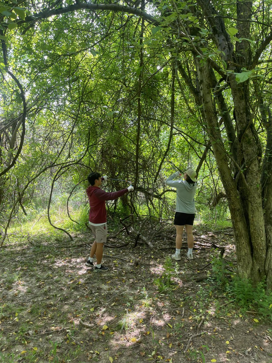 Garnet Valley Football tweet media