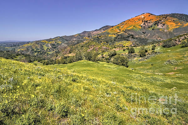 EmotionsPics's tweet photo. New artwork for sale! - "Grass Mountain" - https://t.co/gdIXtsxAxY @fineartamerica https://t.co/hPY6Sgx0iV