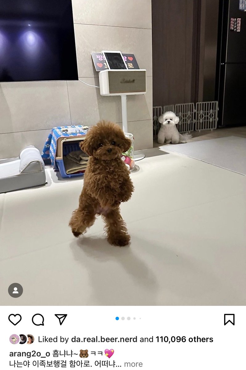 yesitsmyaccount's tweet image. 🔪 🔪 🔪