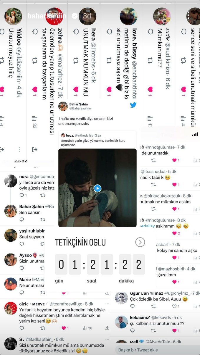 bahar ve twitter tayfası 😌🤍