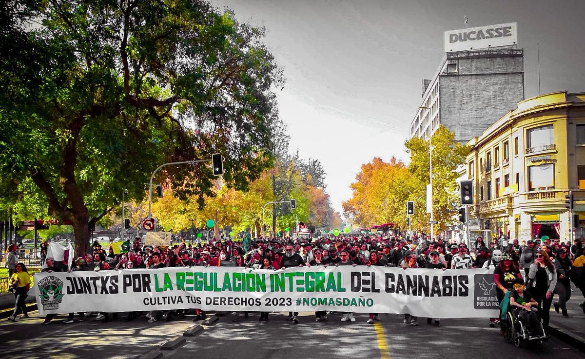AnaMariaGazmuri's tweet photo. Agradecida por la participación de 50.000 asistentes en la 17ª versión de la marcha #CultivaTusDerechos. Fue una marcha distinta, más relajada y feliz; por primera vez hemos tenido el reconocimiento, mediante el requerimiento de la oposición al Tribunal Constitucional, y su consecuente sentencia a nuestro favor, de lo que siempre hemos sostenido: el cultivo medicinal y personal, exclusivo y próximo en el tiempo en bajas cantidades no es delito en Chile. Lo incorporado en la ley AntiNarco es solo una causal de justificación al cultivo medicinal ya lícito. 
Aplaudiendo los avances, debemos asumir cómo la indiferencia del Estado ha afectado a esta comunidad de manera grave. Por eso hoy decimos #NoMasDaño. No deseamos más pérdidas de vidas a manos de delincuentes ni más actos de persecución. Ha sido una lucha de años y todavía queda camino por recorrer para lograr una regulación integral. Ya estamos trabajando en ello! 🪴✊🏻