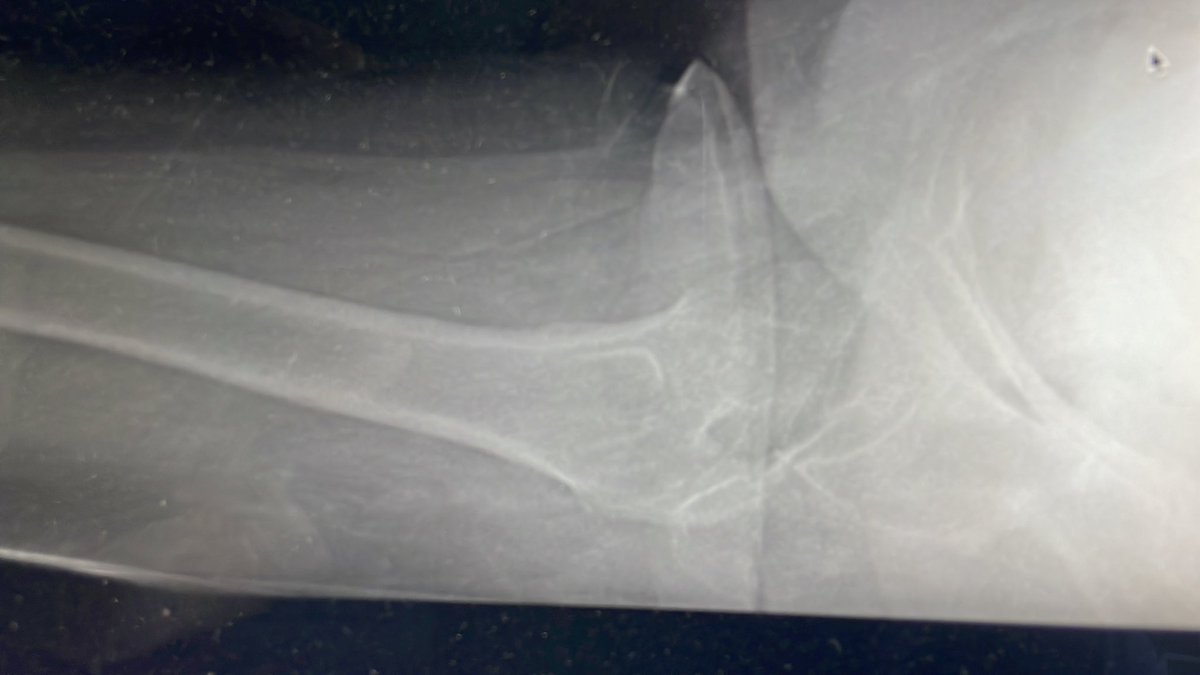 Very General Orthopaedist tweet media