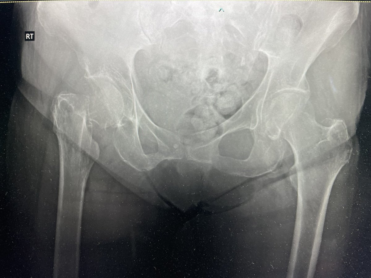 Very General Orthopaedist tweet media