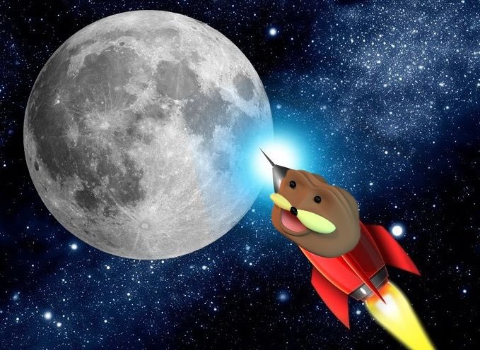 MrDrapez's tweet photo. @CryptoDetoxed @Ashcryptoreal @SPURDO_erc20 "Take a break from reality and dive into the absurd universe of Spurdo Spärde! Join the crypto revolution with LP locked for 100 years and 0/0 renounce." https://t.co/YfWHe2q7FE