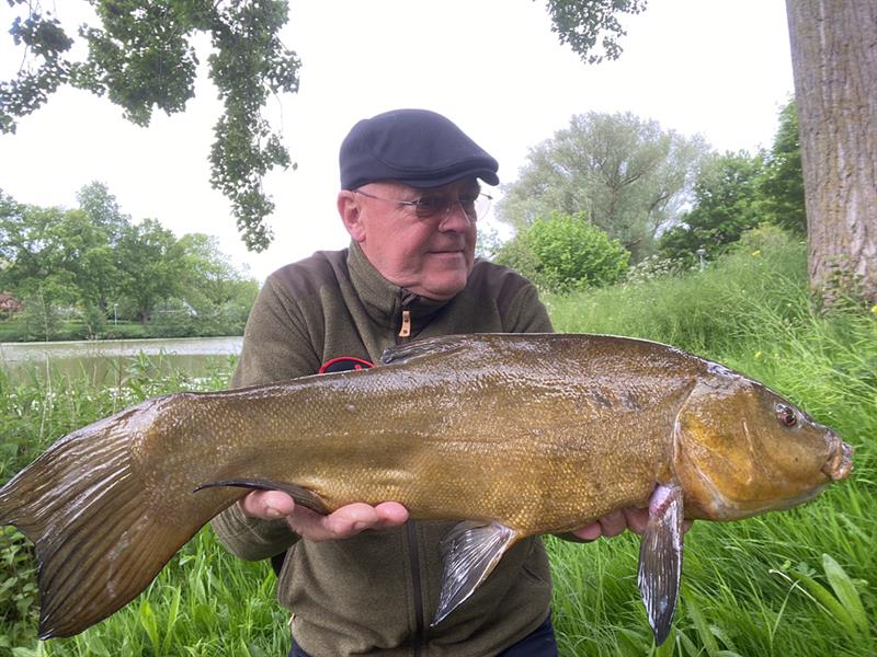 Vangstenregistratie.nl tweet media