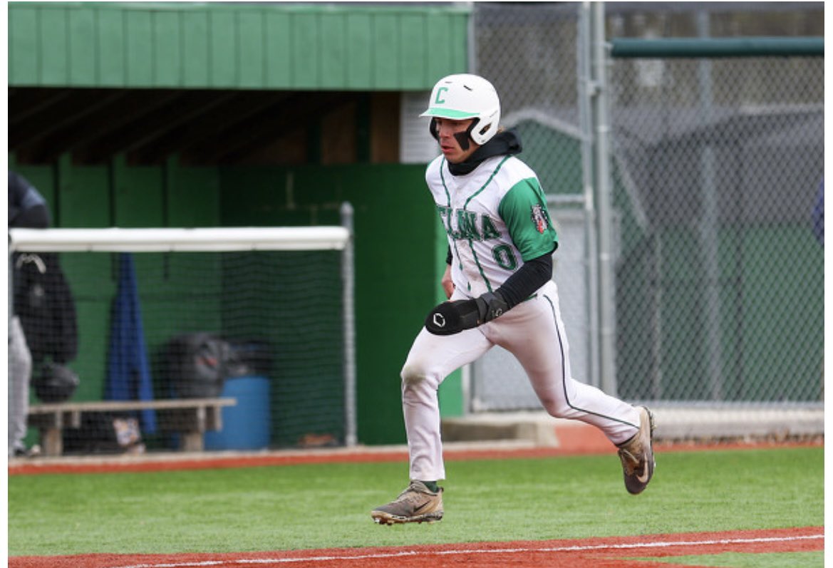 Celina Baseball tweet media