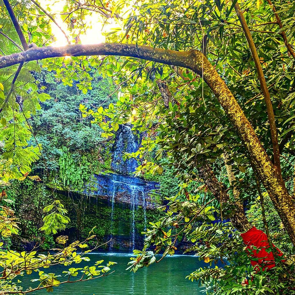 Simo_Ciocco's tweet photo. Troverai di più nei boschi che nei libri. Gli alberi e le pietre ti insegneranno ciò che non si può imparare da maestri. ~ San Bernardo
.
.
.
#cascata #natura #madagascar #nature #waterfall #love #travel #photography #picoftheday #landscape #animals #afr… https://t.co/glNGJyOnyR https://t.co/f4VEMRFdw4