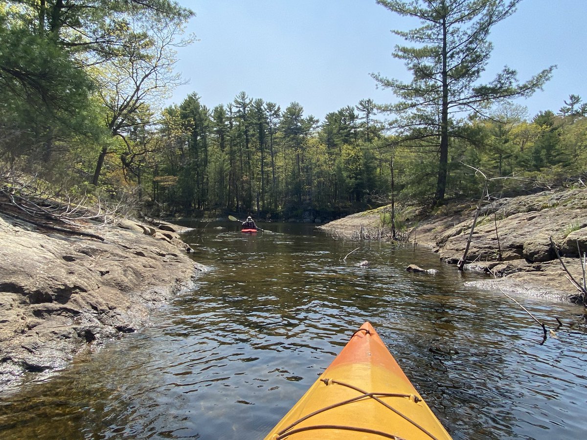 mrs_orchard's tweet photo. Happy long weekend! #LongWeekend #lifeisbetteroutside #getoutside #massassagua #ontario #Canada https://t.co/GIMHk4tvzP