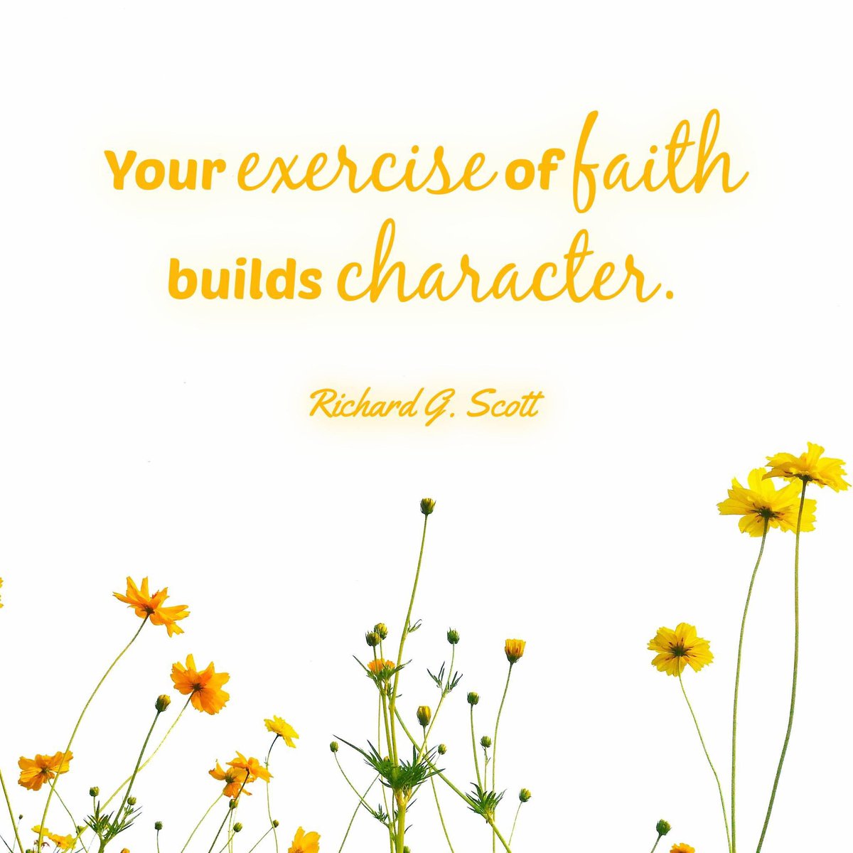 “Your exercise of faith builds character.” ~ Elder Richard G. Scott

#FaithCounts #HearHim #HisDay #TrustGod #GodLovesYou #ComeUntoChrist #CountOnHim #EmbraceHim #ChildOfGod #ShareGoodness #BestDay #TheChurchOfJesusChristOfLatterDaySaints