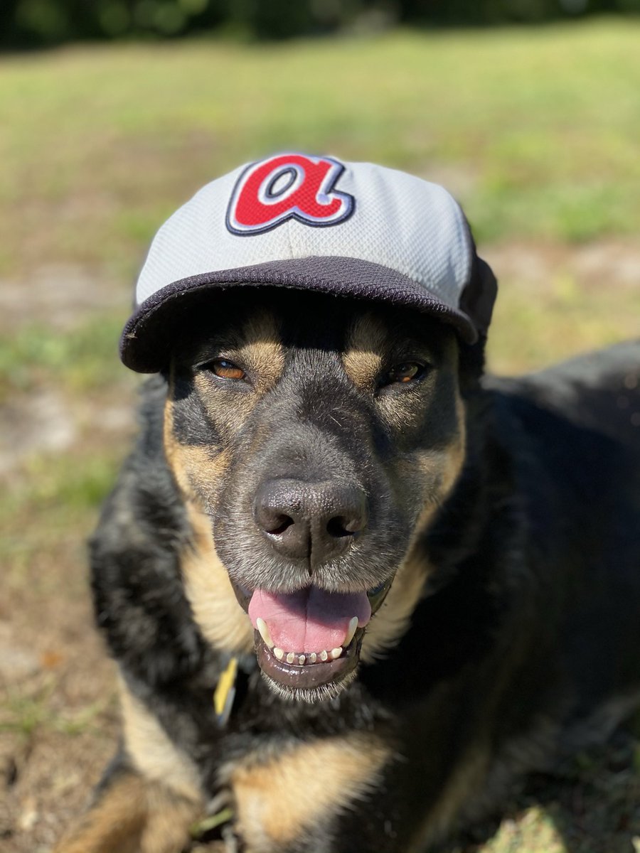Love_Murph's tweet photo. @Cut4 @MLB @Rangers Rookies!! #BaseballDogs 🐾 https://t.co/P3Avx0uTED