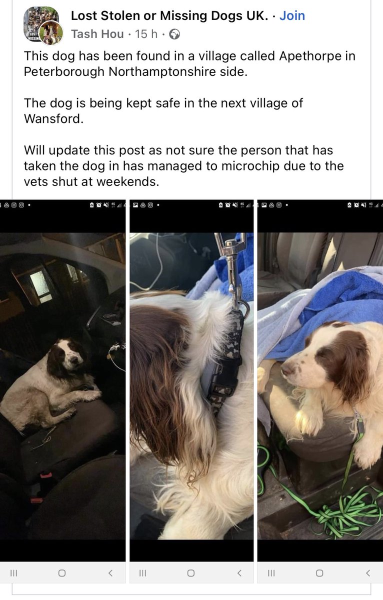 SpanielsofKC's tweet photo. Please #dogsoftwitter, do your magic. ๐ช ๐ซ ๐ค๐ป
Male, currently in the care of a local rescue, ownership has to be proved.
Chip checked and I believe registered o. Dog https://t.co/mg5QyJVGbb
#twittersogs #founddogs #dogslost #gethimhome #peterborough #a47 #potd
#lost #pets https://t.co/o10BWXHDV2
