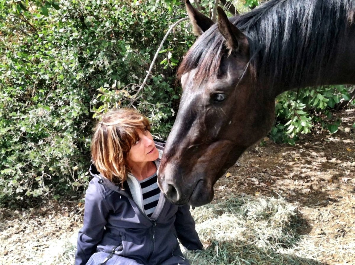 It’s #AdoptAHorse month! 12 years ago we adopted these 2 mustangs. There are 1000s of horses out there looking for a loving home. If you’re willing and able, go to myrighthorse.org totally life enhancing… 🐴