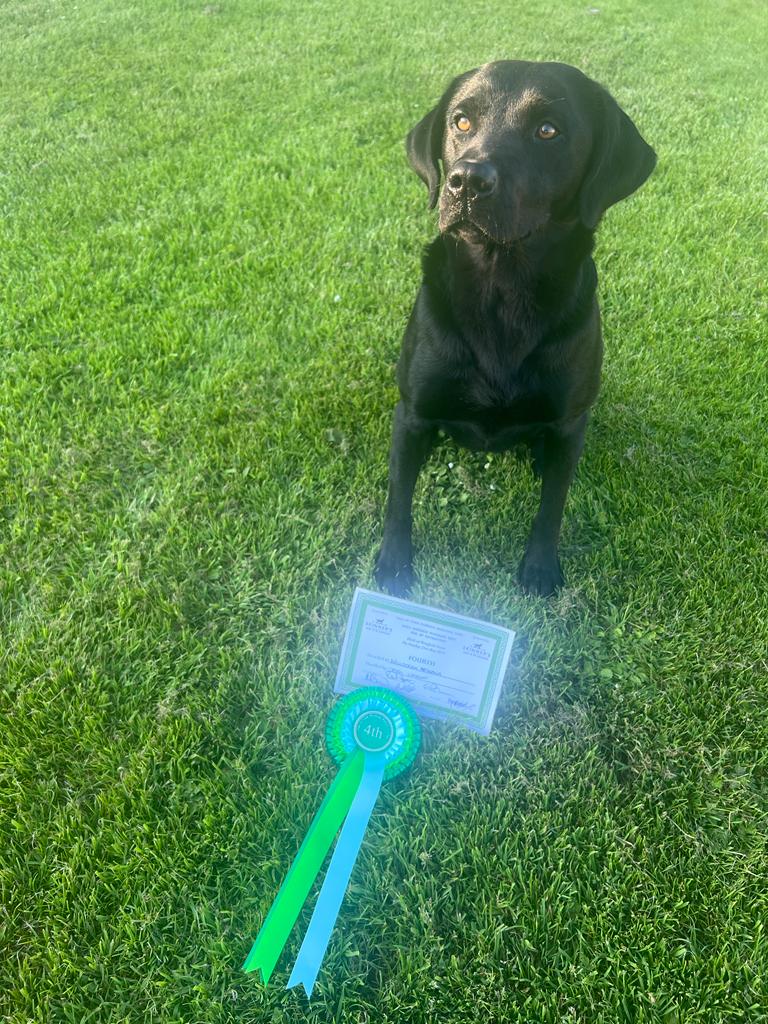 tightywrighty7's tweet photo. Over the moon with Willsocra Yowaka (Goose) placing 4th in the VYWRC Open working test at Fimber today. Strong competition and challenging tests so really pleased with the result. Thanks to the land owner, judges, helpers and club for putting on a great day in stunning terrain. https://t.co/XghmSCGI5H