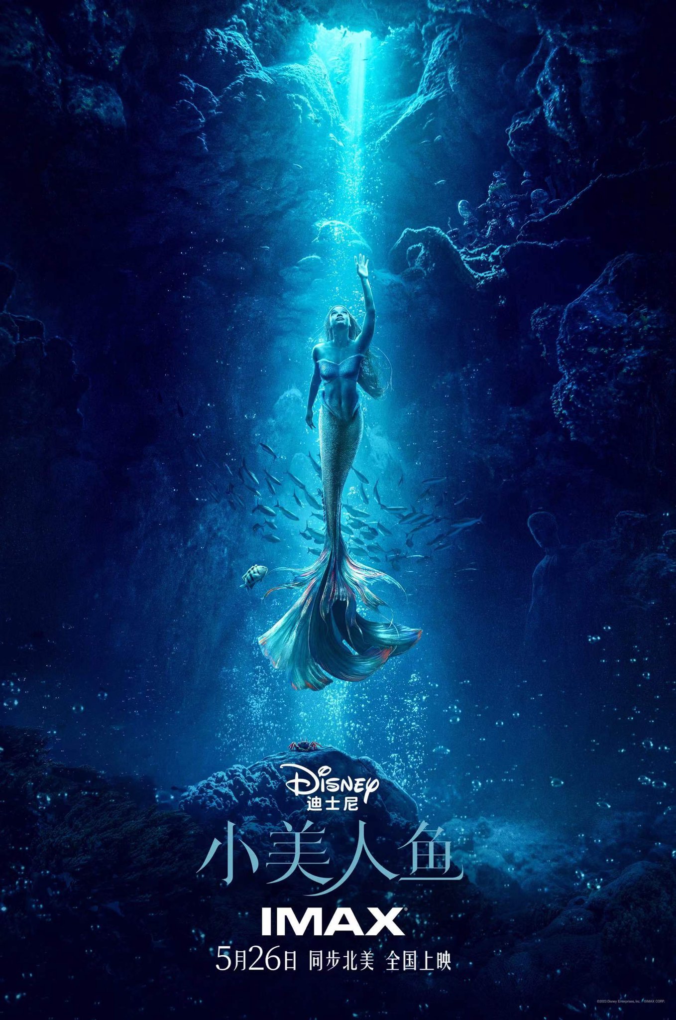 Steph Anie on X: The Little Mermaid China poster...Ariel is ...