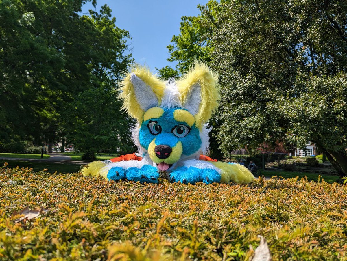 pacerfur's tweet image. Did someone say hugs?
📷 @DexterWuskie 
📍 Southampton (East Park)