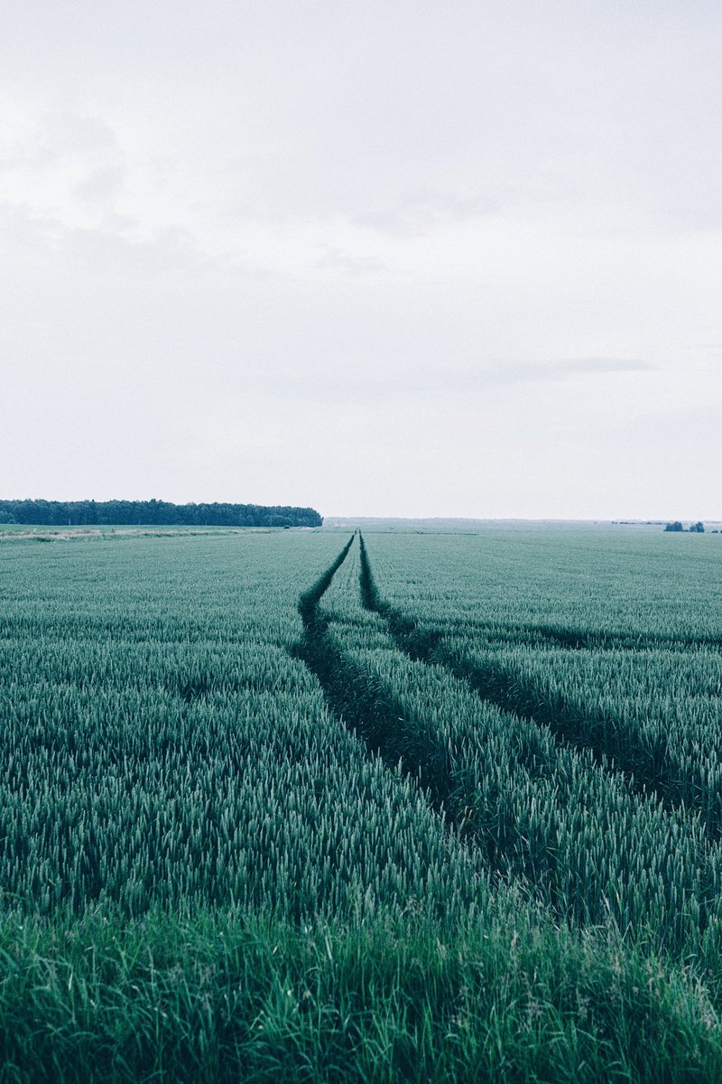 Breaking through obstacles and forging ahead with confidence. Take on any terrain with Icepack AI logistics software, always finding the best path to success. #icepackai #ai