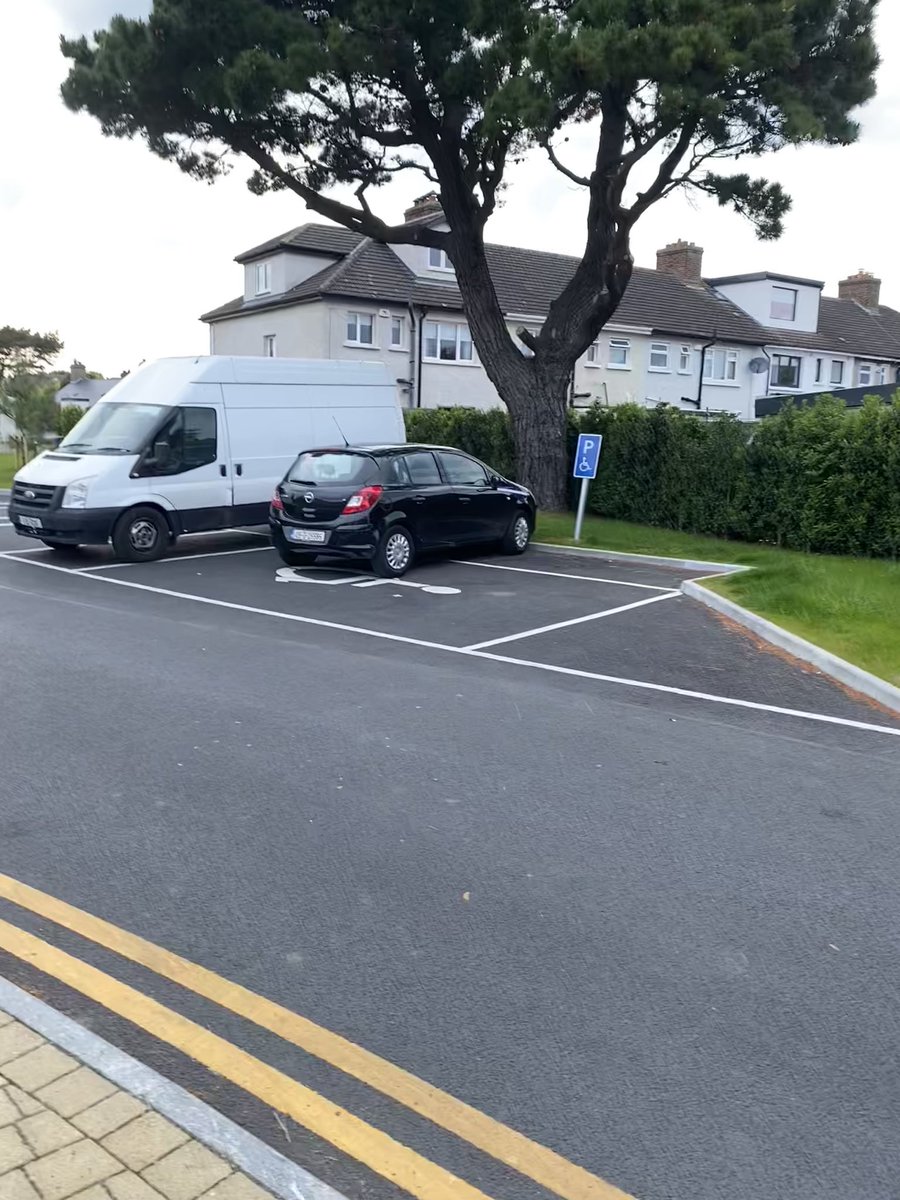 Usual daily behaviour in Brookwood court, neither displaying badge. <a href="/GardaTraffic/">An Garda Síochána</a> <a href="/DisabilityFed/">DFI</a>