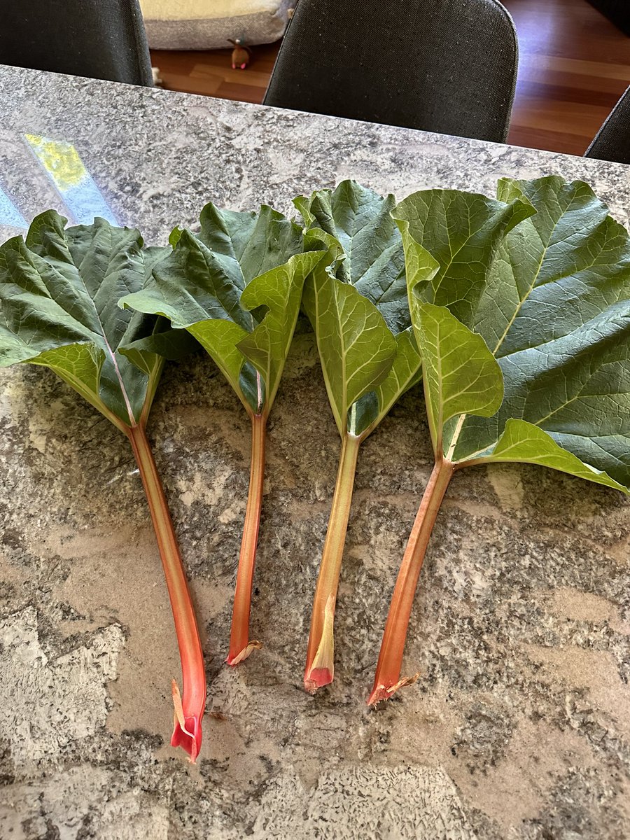 Doug Bartels MD tweet media