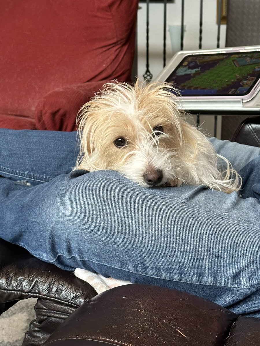 Ruby looking cute as always 😀