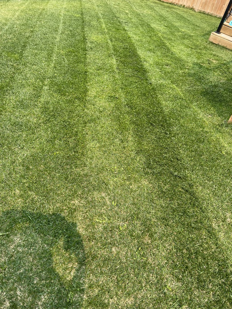 Alex Freeman tweet media